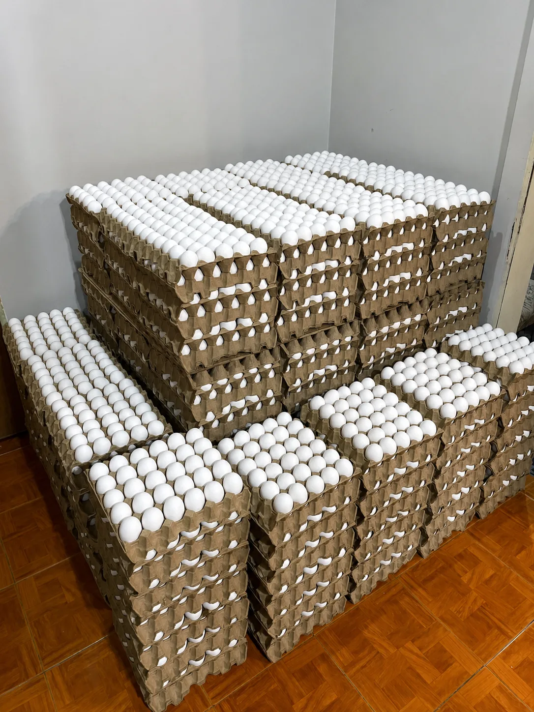 Stock de maples de huevos listo para entrega