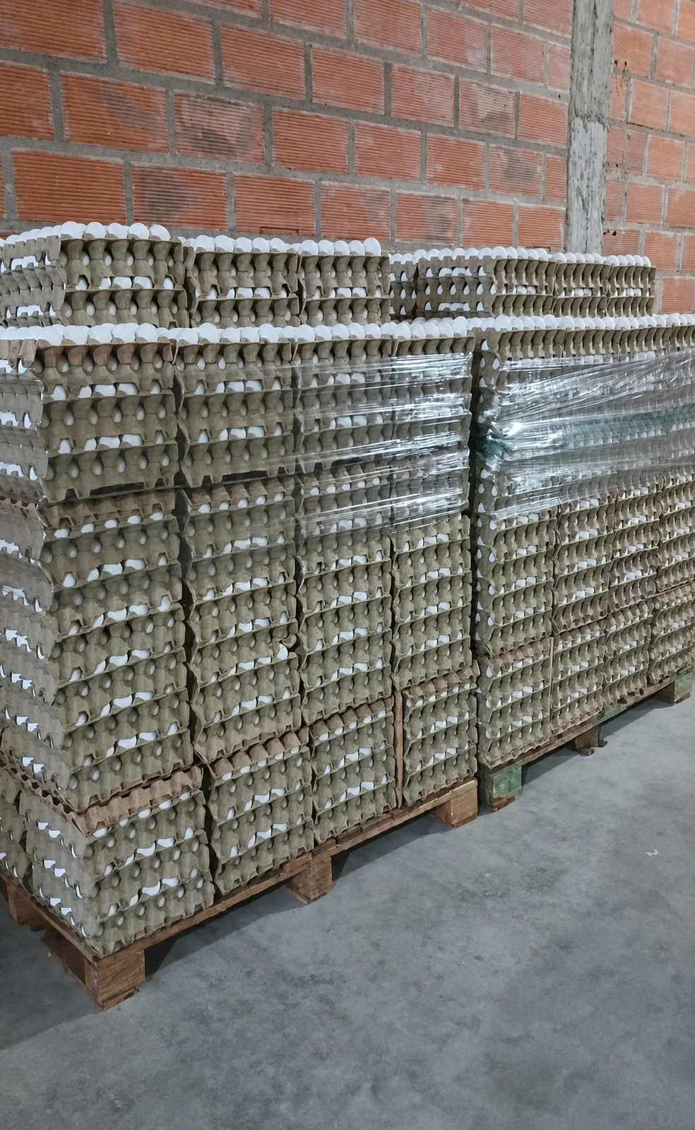 Pallets de huevos preparados para reparto mayorista